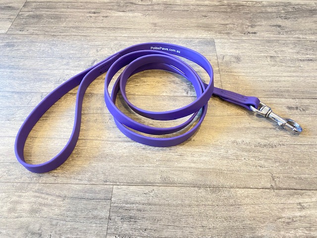 6ft Beta Biothane Training Leads